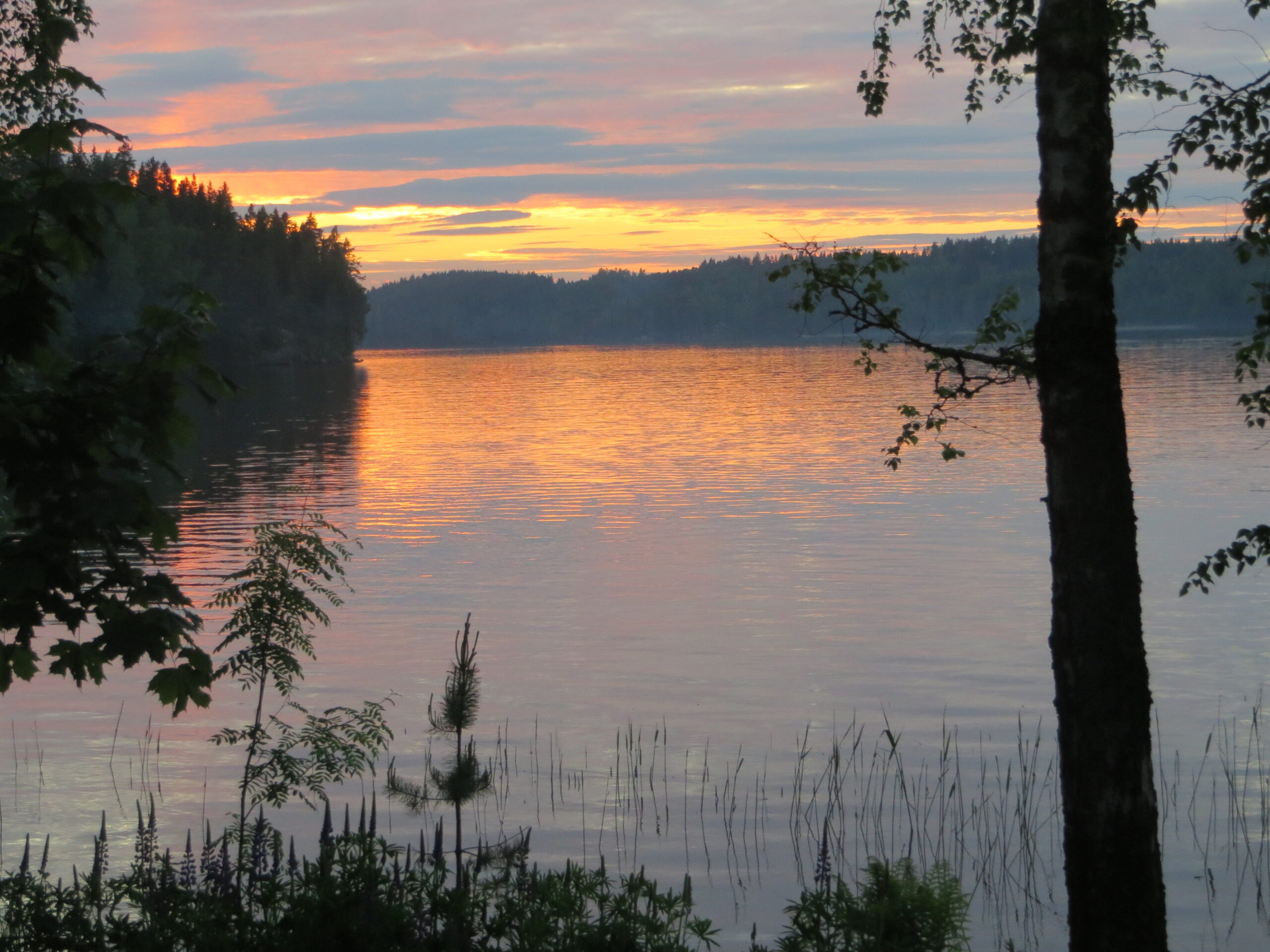 Hyvää Juhannusta 2025